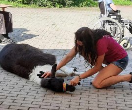 Lamatreking Svoboda nad Úpou - zooterapie